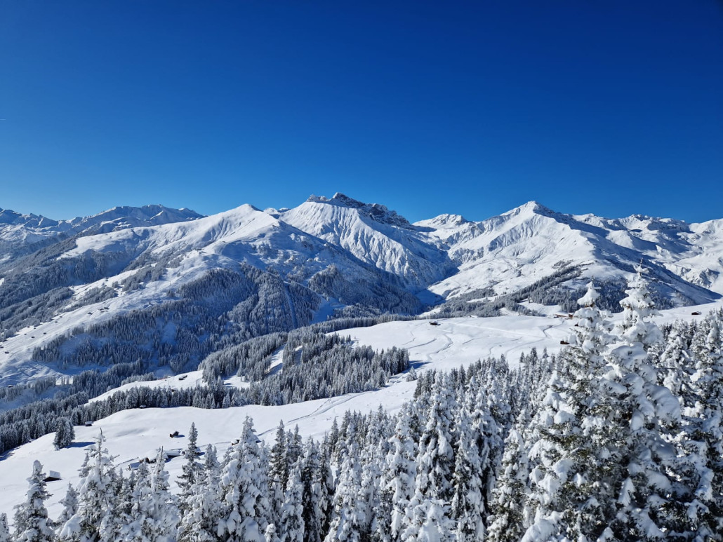 WhatsApp Image 2023-12-04 at 06.47.34.jpeg