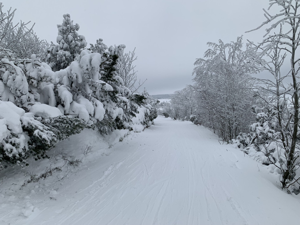 Ziehweg vom Anker Schlepper zum Beginn der (5) Turistika