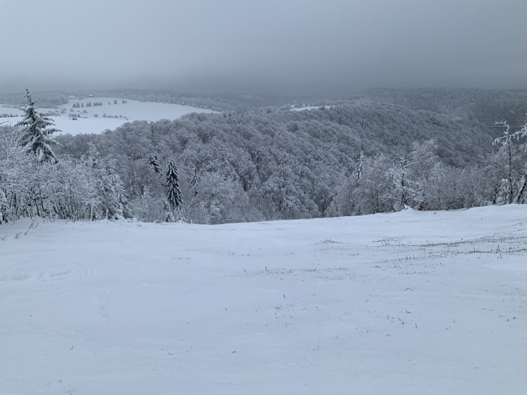 Beginn der direkte Variante der (3) - diese Piste wurde trotz wenig Schnee gewalzt