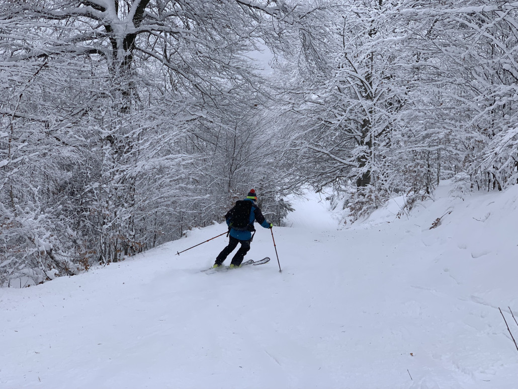 Enge Waldschneise kurz vor dem kurzen Steilhang mit Gegenanstieg im Anschluss
