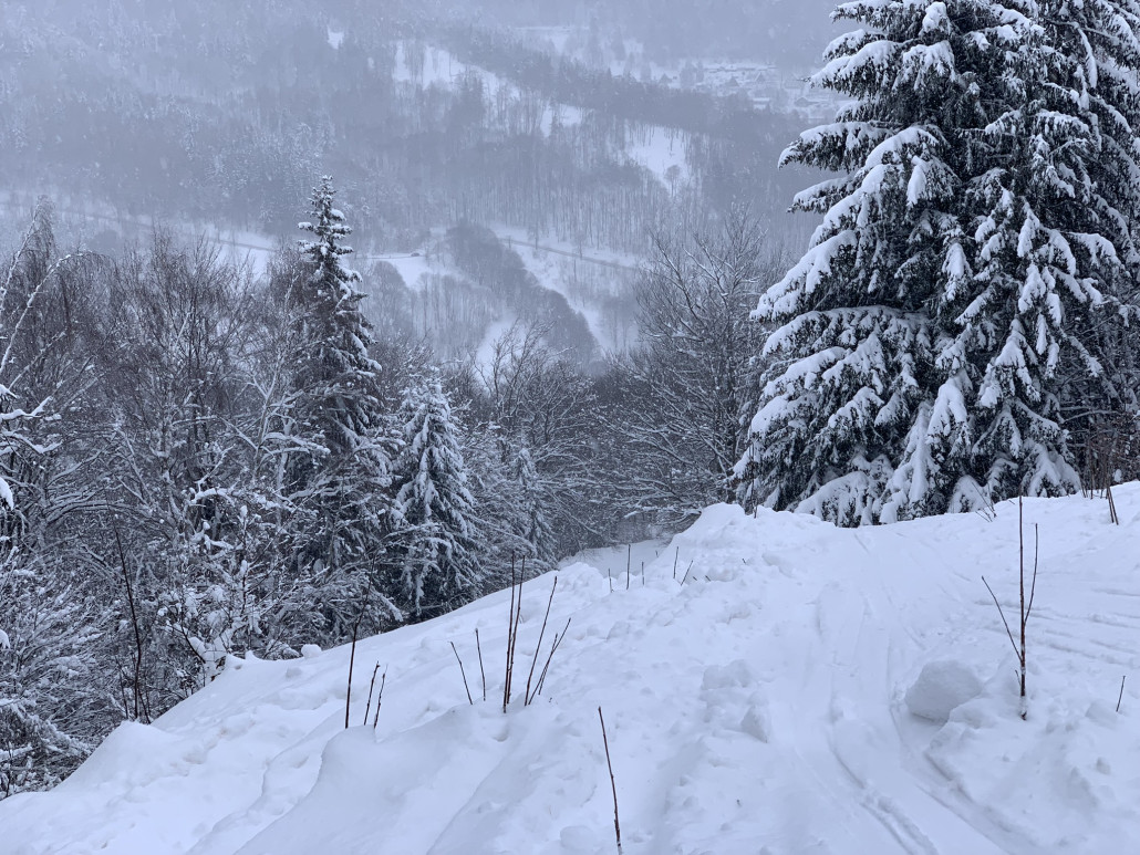 ... anschließend kommt das schwerste Stück der Route (an dieser Stelle macht sie quasi eine 90Grad Kurve genau dort, wo sie den Weg mit Schild quert)