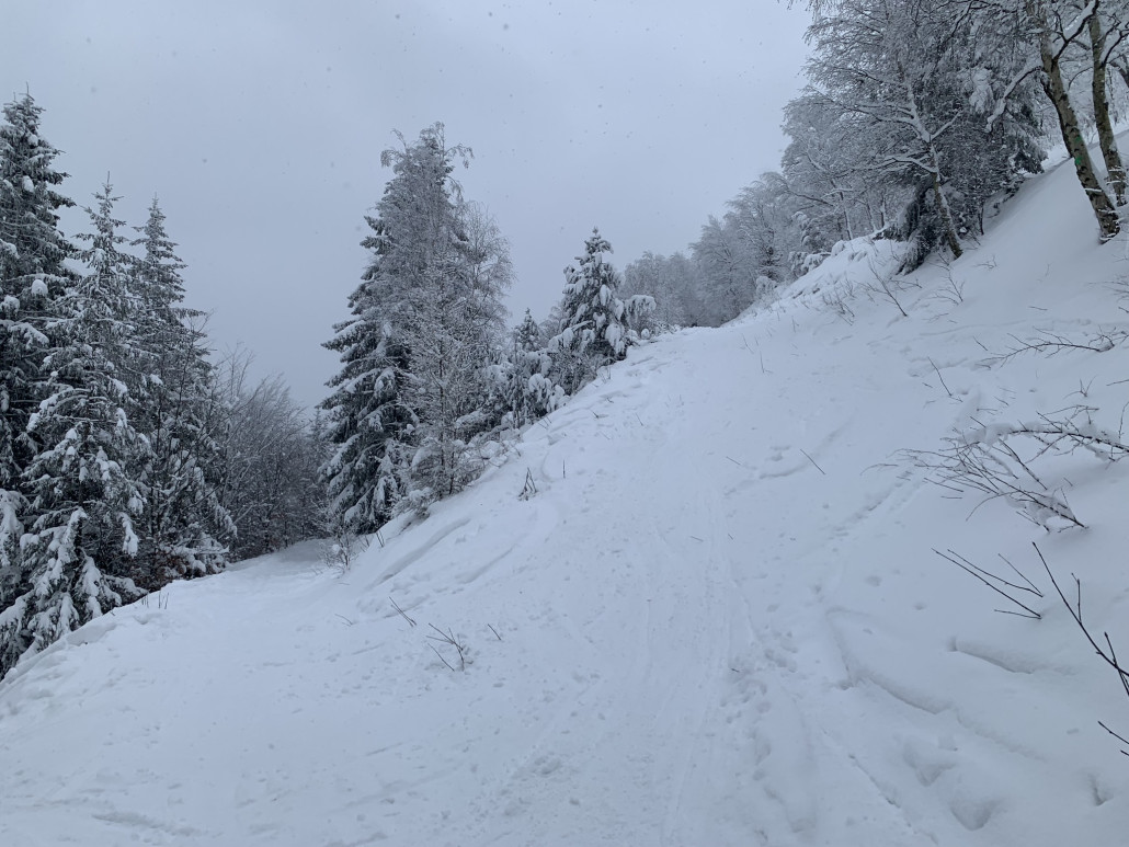 auf halber Strecke Bergwärts blickend ...