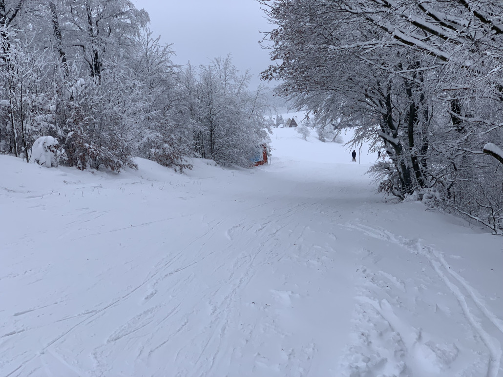 Blick auf die Turistika an der Stelle, an der der Ziehweg vom Anker Schlepplift aus endet; links neben der Piste am Waldrand steht die Bergwacht