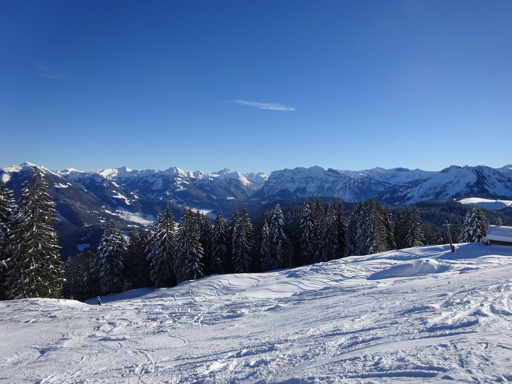 Ein kurzer Blick zum geschlossenen Alpenblicklift samt Pano in den Hinterwald musste noch sein