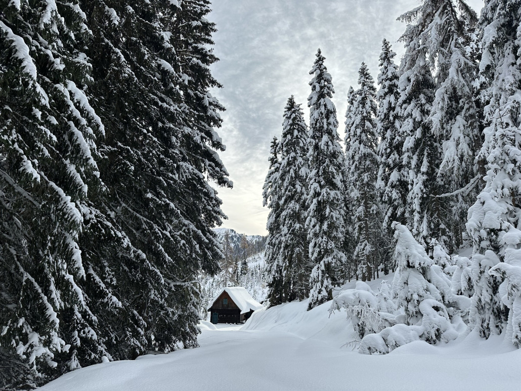 Hütte im tiefverschneiten Wald