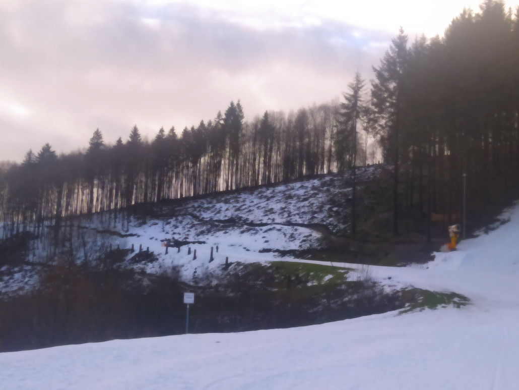 Und wieder einige Fichten weniger...(Ziehweg der blauen Piste an der Kappe)