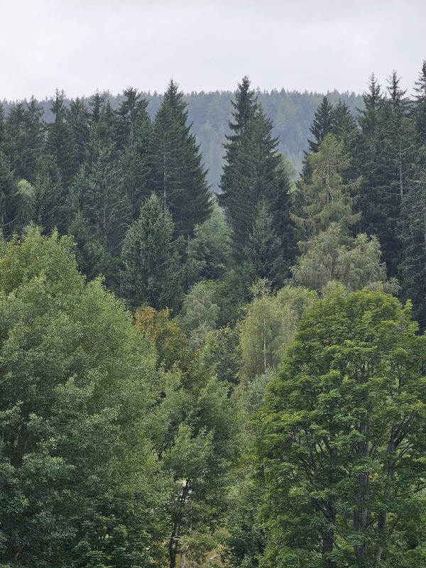 Die Trasse der zweiten Sektion ESL.