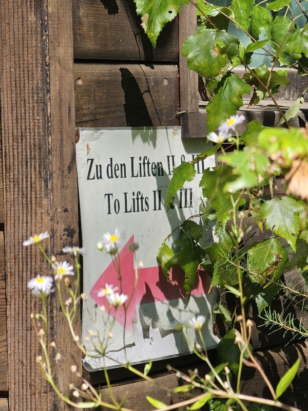 Folgt man dem Schild (und dem kurzen Forstweg, über den man zur Bergstation gelangt) wieder zurück zum nach wie vor vorhandenen Parkplatz, gelangt man recht schnell zur zweiten Sektion. Die Abfahrt ins Tal lässt sich im Gegensatz zur Trasse aber noch erahnen.
