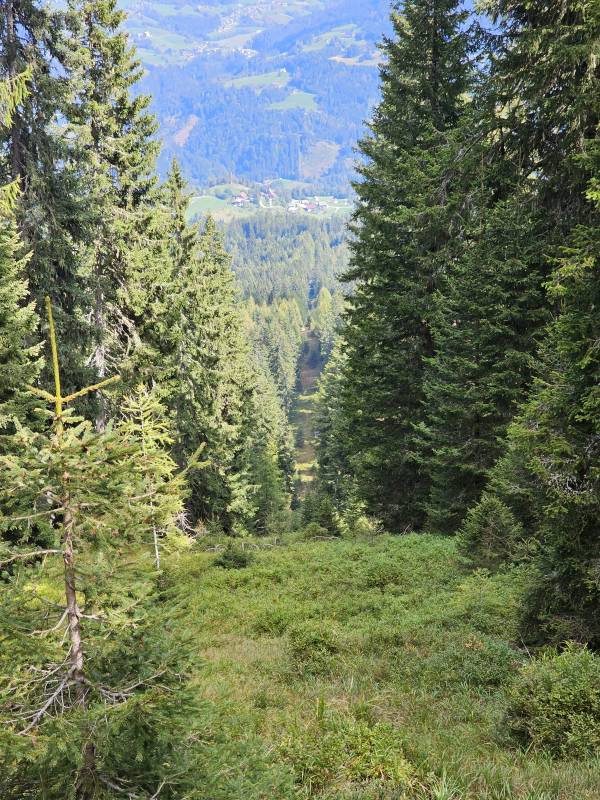 Die Trasse der DSB Schwarzsee.