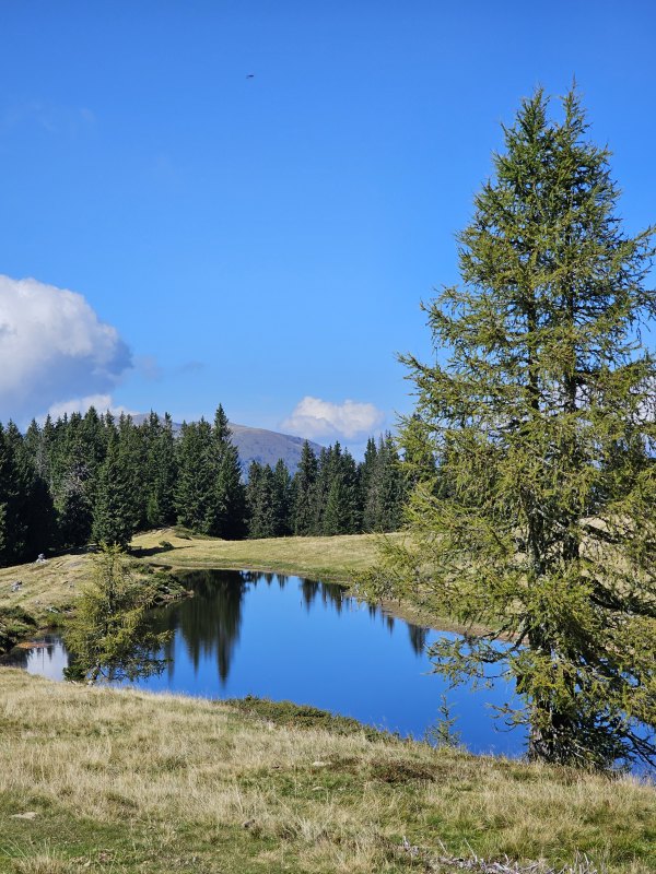 Schon schön hier in Kärnten :)