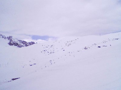 Hier sehen (?) wir die andere: 6-CLD Frêne, ebenfalls Poma.