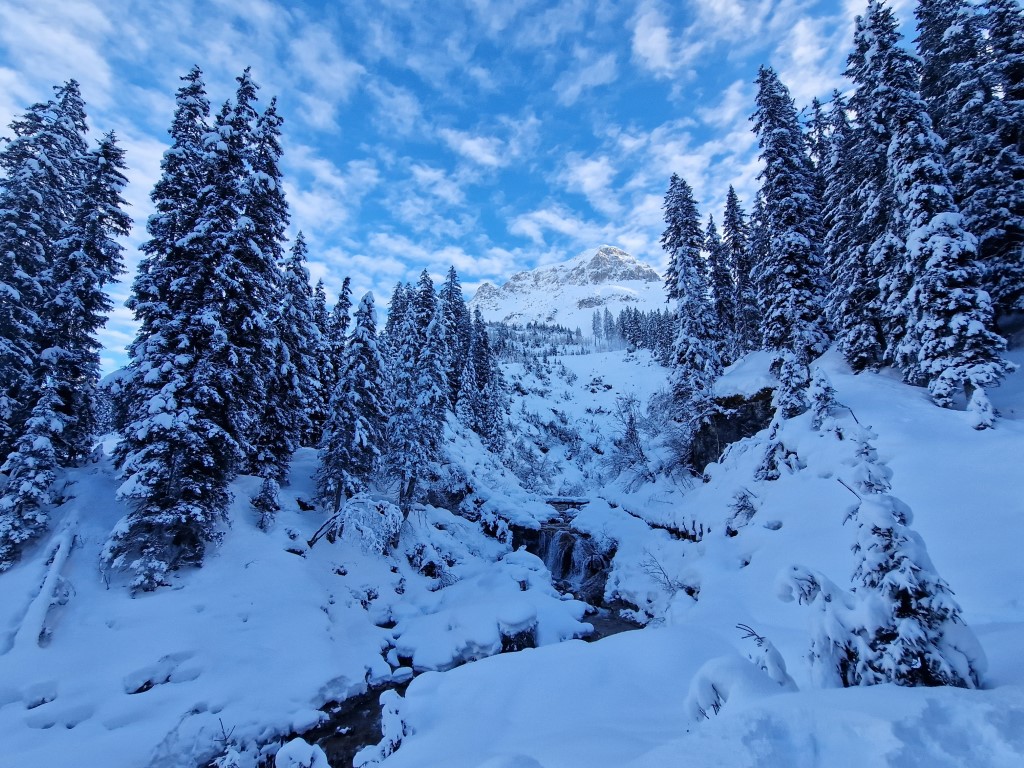 Vorsaison_2023_by_Markus_Hahn (17).jpg