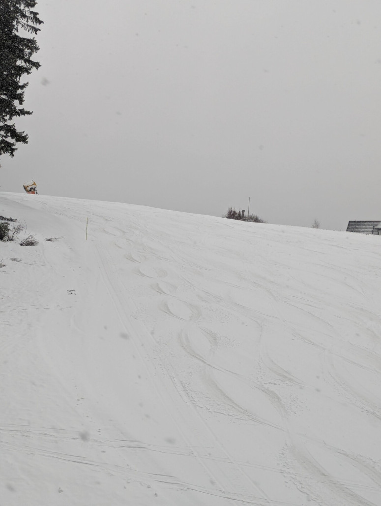 Der Zopf wurde im unteren Teil jeder wenige Sekunden nachdem Flechten von einem Snowboarder zerstört...