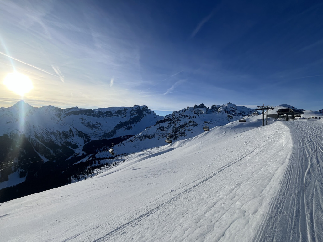 Immer wieder ein genialer Blick