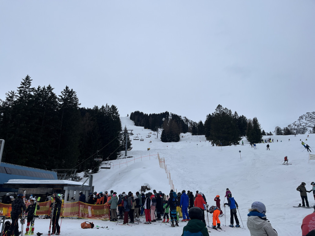 Gulmatraube ist auch da