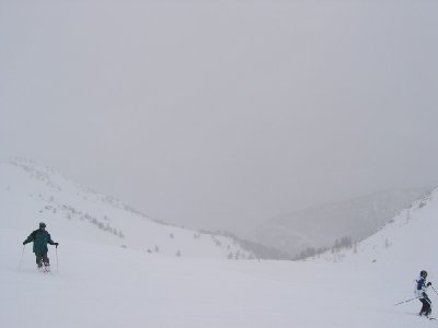 Vallon de la Cucumelle. Hier oben völlig baumfrei, erst weiter unten in Richtung Fréjus beginnen die Lärchen wieder