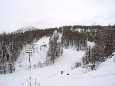 4-SB Aya und die Pistenschneisen durch die Lärchenwälder von Monêtier
