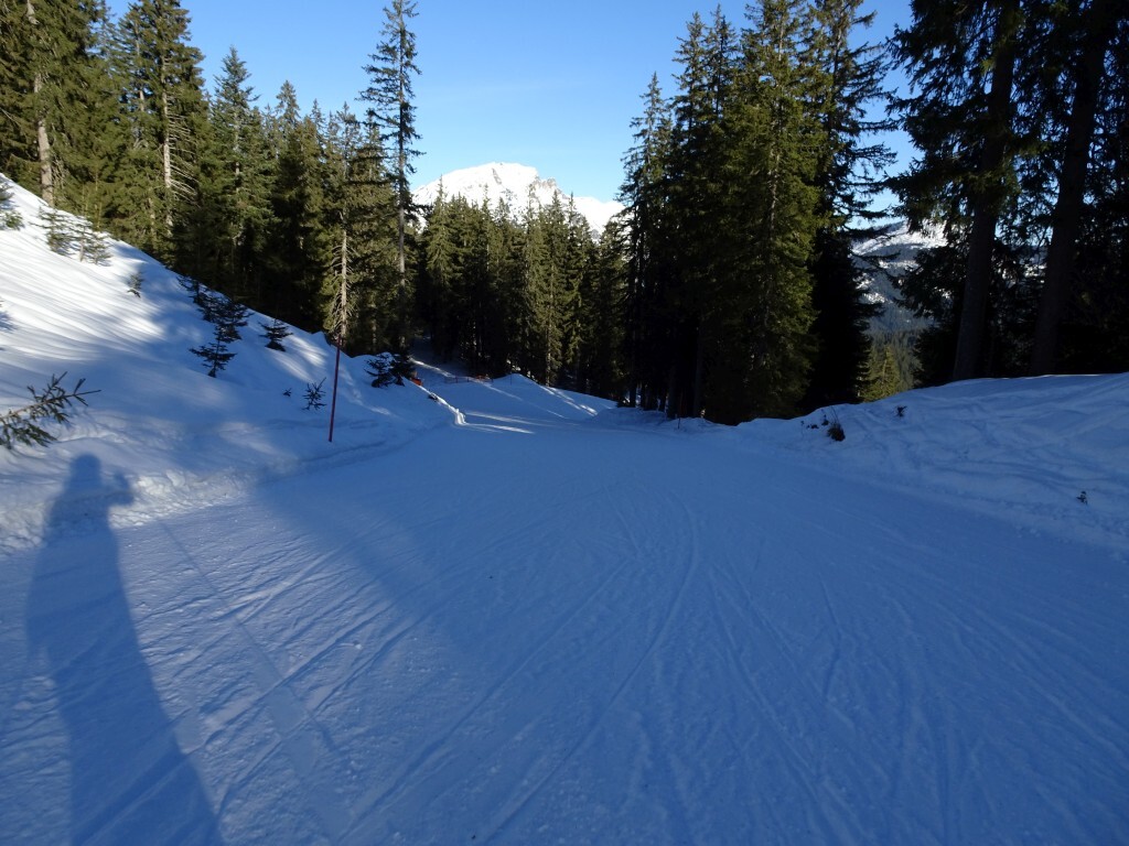 Die Falmbergabfahrt (3) geht dann ab Richtung Hornspitz-Bahnen.