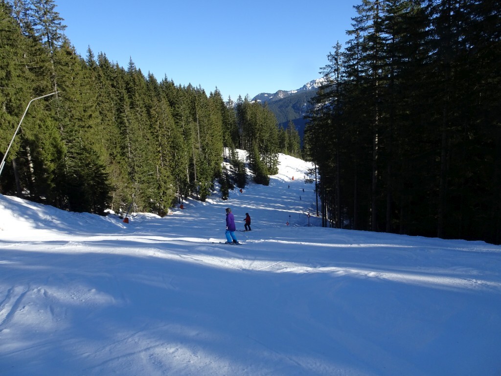 Auf der blauen Familienabfahrt Zwieselalm (9). Seit die Mittelstation vor etwa zehn Jahren nachträglich installiert wurde, muss man nicht mehr ganz ins Tal hinunter.