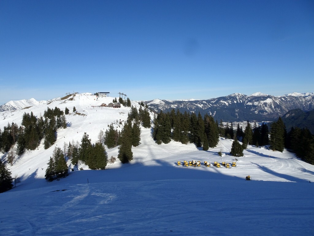 Auch hier sind die gelben Helfer schon im Sammel-Sommerschlaf.
