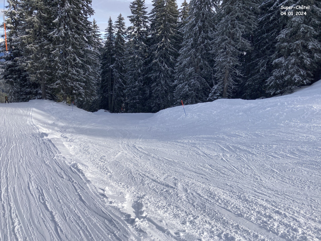 Teleski Chermeu und seine kleine Blaue im Wald.