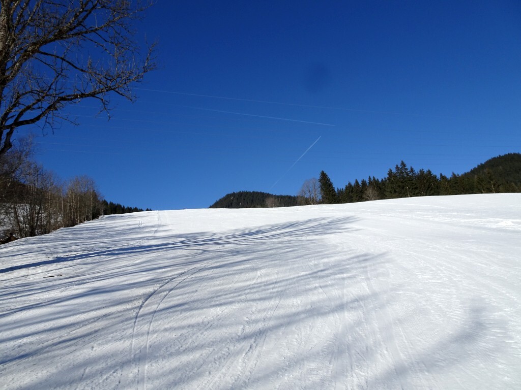Schöner letzter Hang, mit Firnschnee traumhaft.