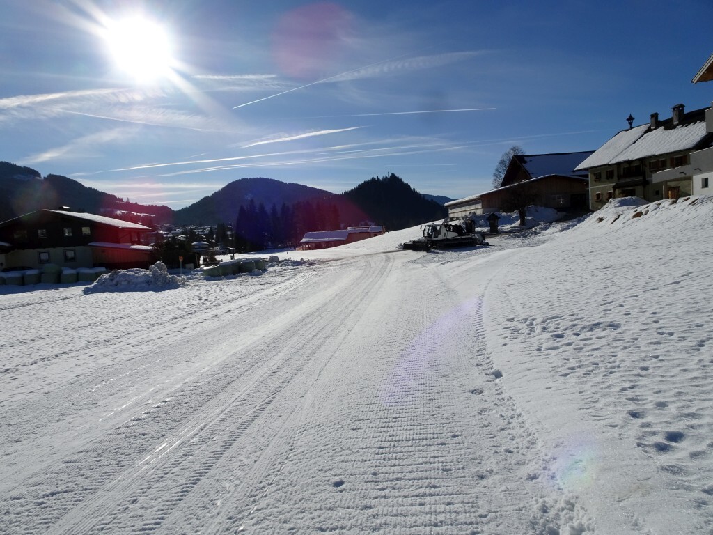 Verbindungsweg zurück zum Knabelleitenlift. Etwas schieben ist nötig.