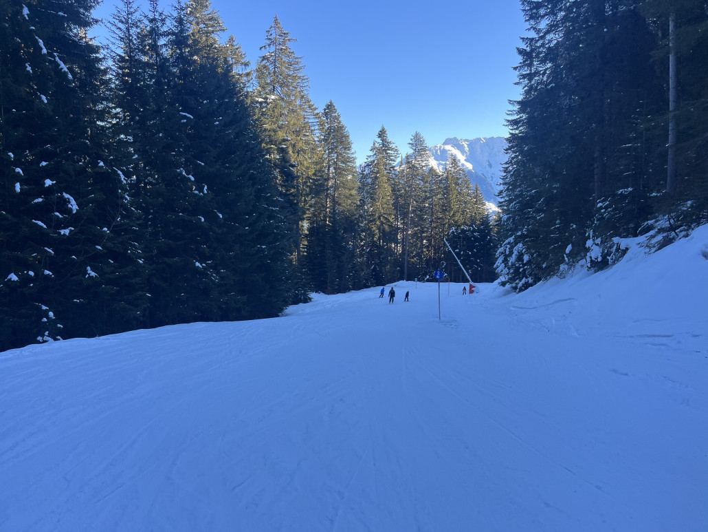 Oben gut zu fahren, Bäume weitgehend schneefrei…