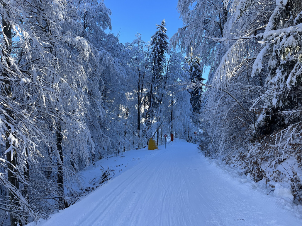 Einfach mal genießen…