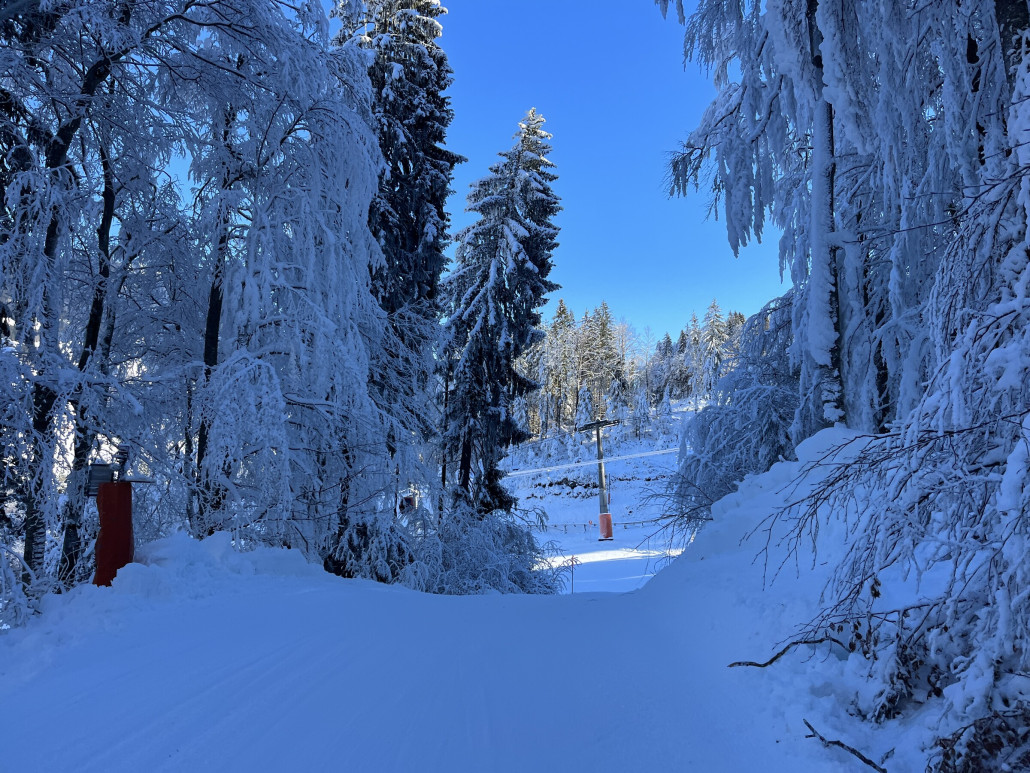 Am Ende des Ziehstücks steht ein Bäumchen mit ordentlich Schlagseite