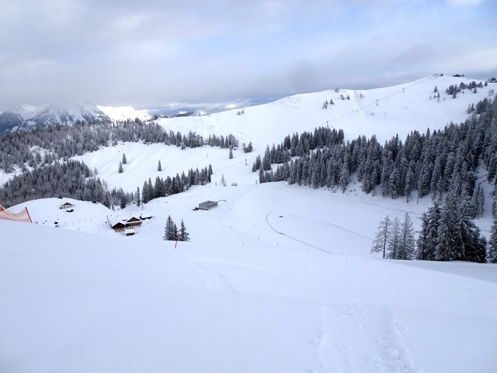Blick vom Riedlkopf zur Zwieselalm, alles schön weiß eingeschneit.