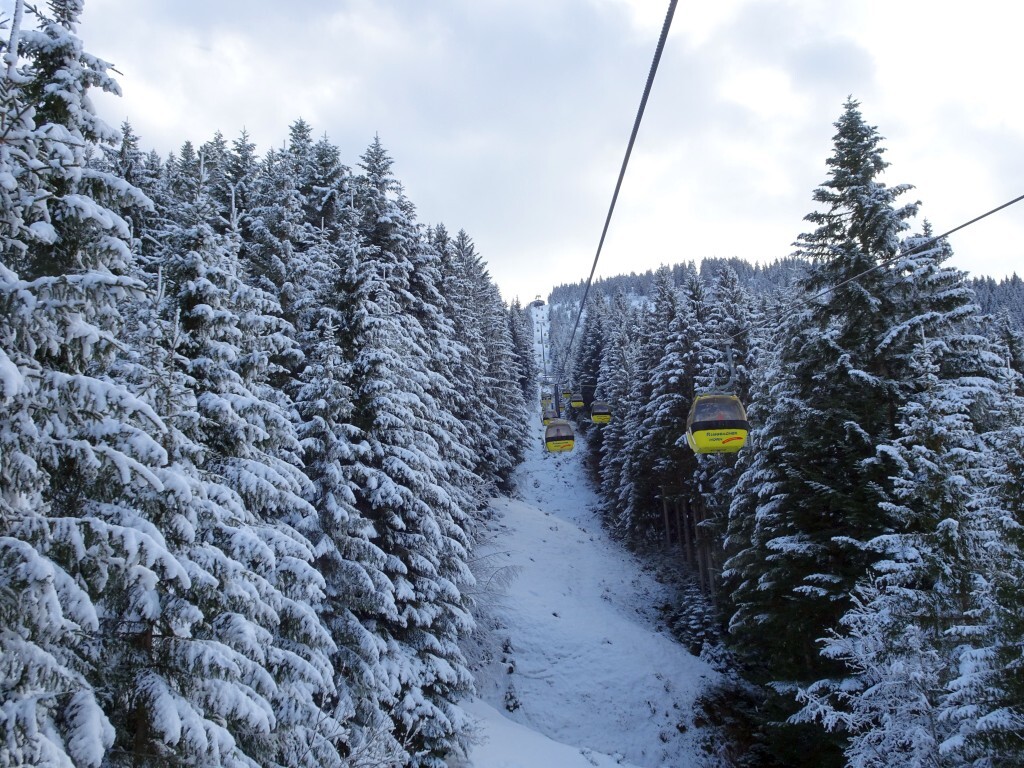 Auffahrt durch den verschneiten Wald in der Hornbahn.