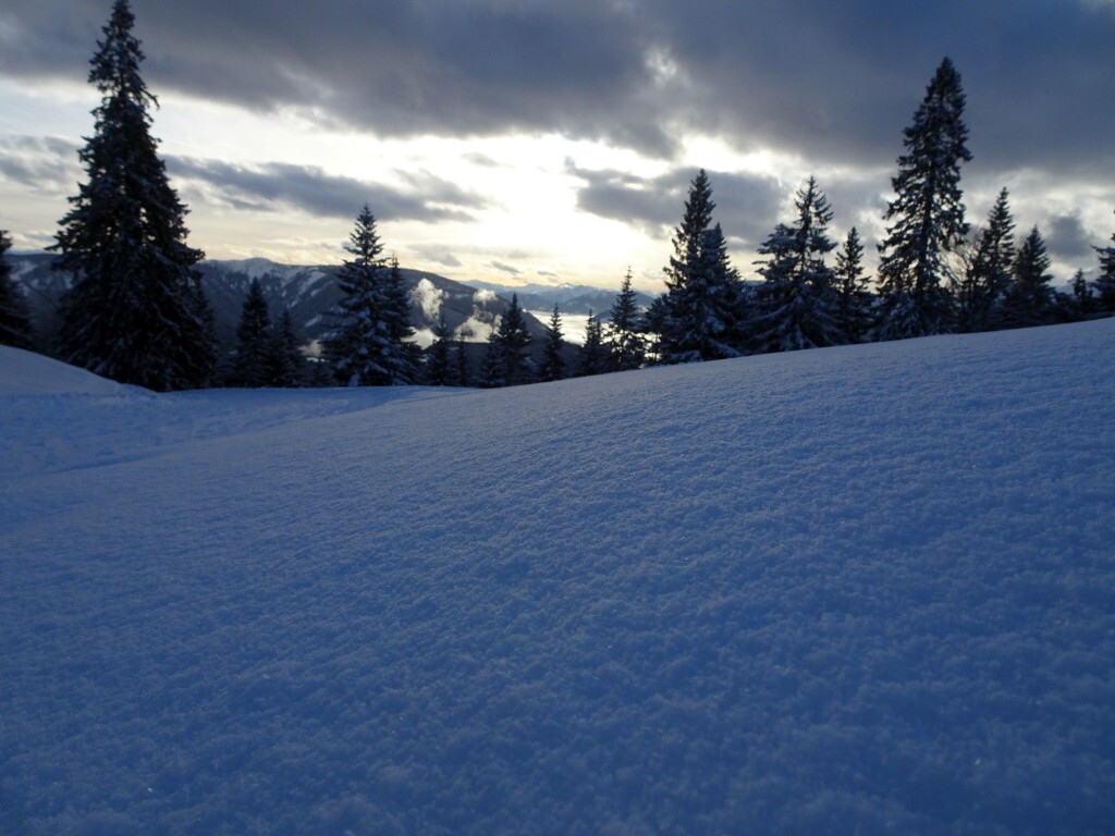 Am Nachmittag, tolle Lichtverhältnisse.