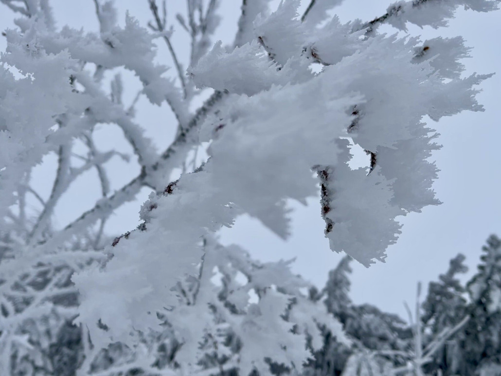 Nebenfrost überall, mit blauem Himmel natürlich noch hübscher