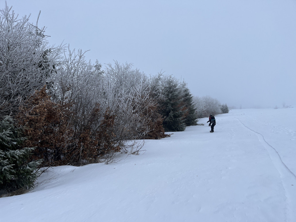 Irgendwo östlich der Umfahrungsstraße
