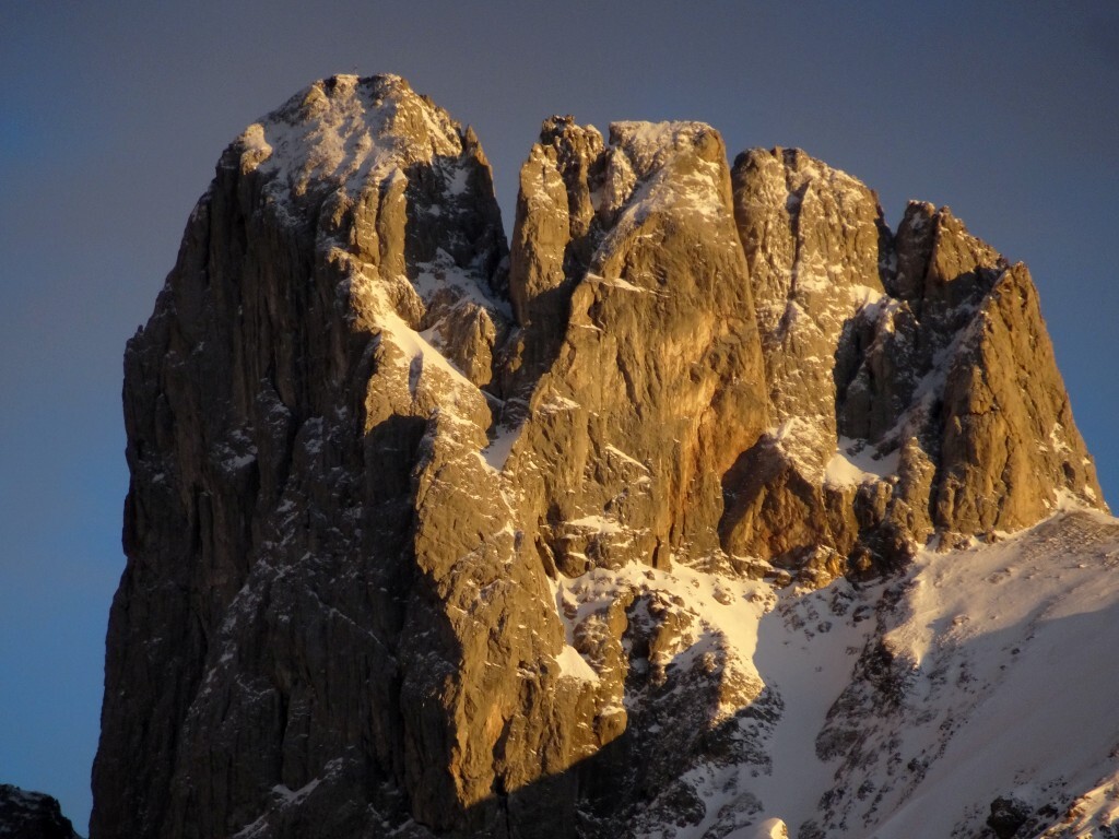 Bischofsmütze im Zoom.