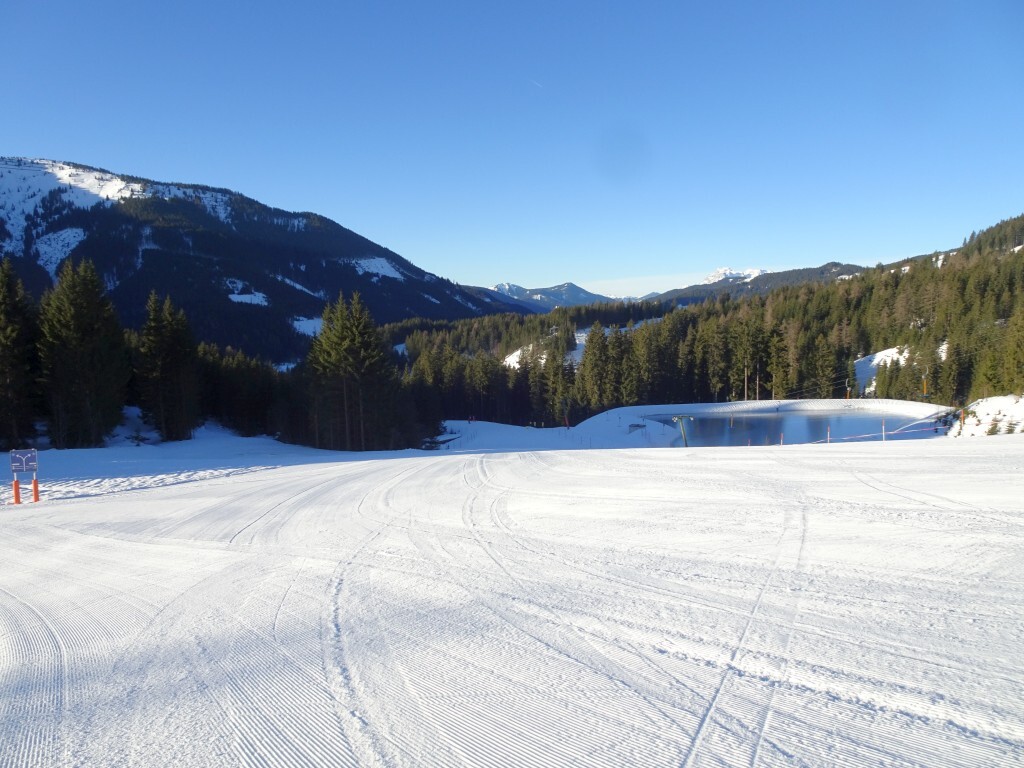 Und auf die Halseggpiste (3).