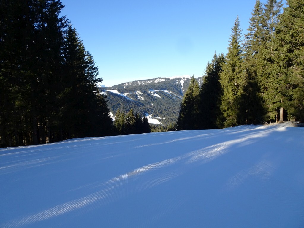 Auf die blaue Schwaigalmpiste (5).