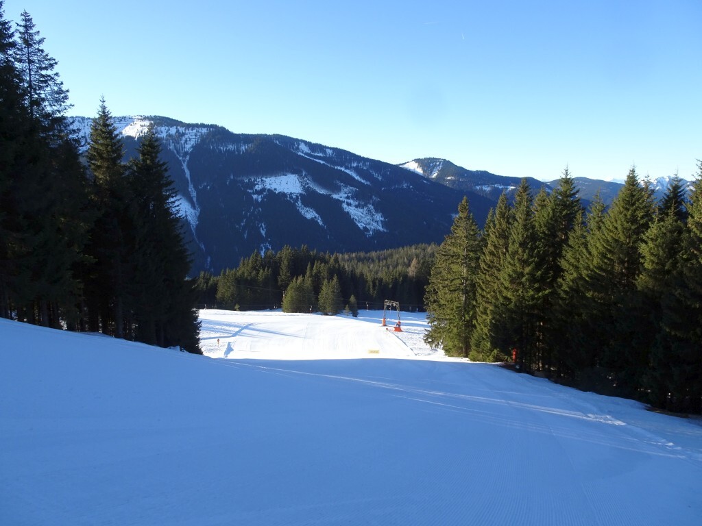 Schwaigalmpiste (5).