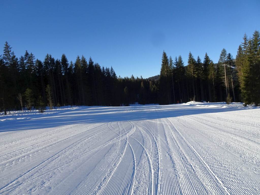 Im Mittelteil ist die Schwaigalmpiste (5) kurz mal flacher, aber sehr idyllisch.