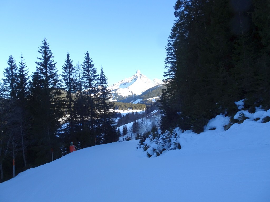 Im unteren Teil. Alles schön im Wald, hinten thront die Bischofsmütze.