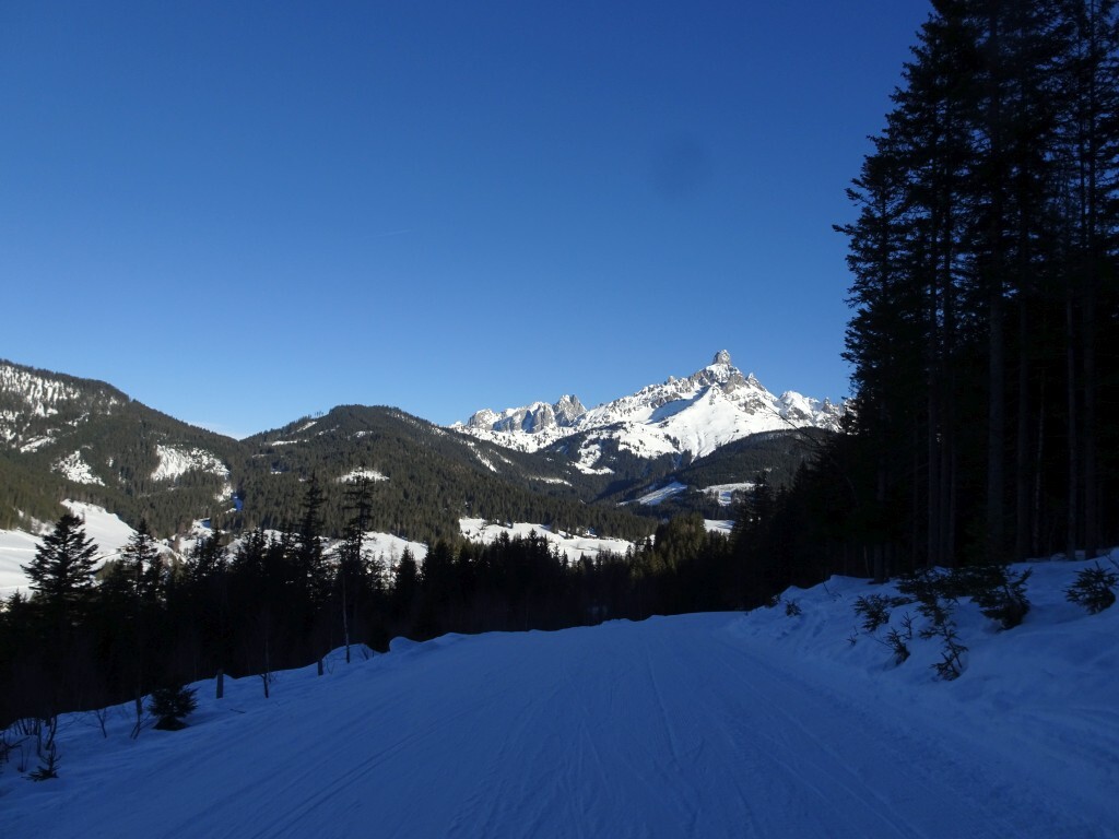 Skiweg zurück Richtung Schwaigalm. Auch hier die Bischofsmütze im Hintergrund.