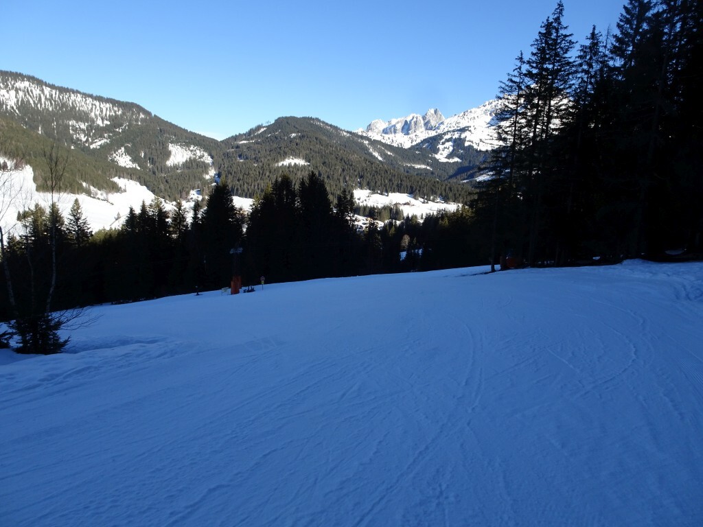 Kurz vor der Schwaigalmpiste.