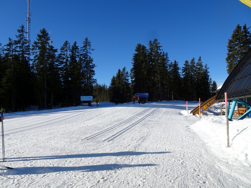 Schön hier oben: Langlaufloipen in der Höhe.