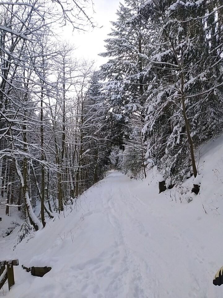 Rothaarsteig Skiroute