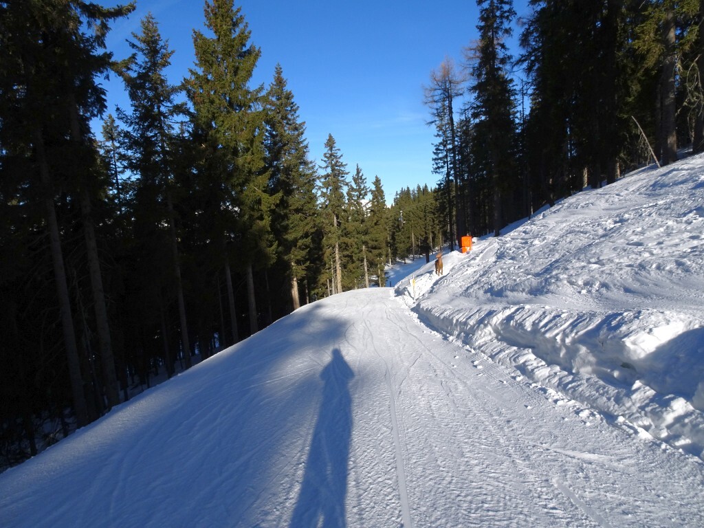 Erlebnisskipiste für Kinder auf den obersten Metern der zweiten Sektion.