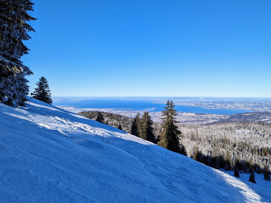 WhatsApp Bild 2024-01-20 um 15.45.26_7a122670.jpg