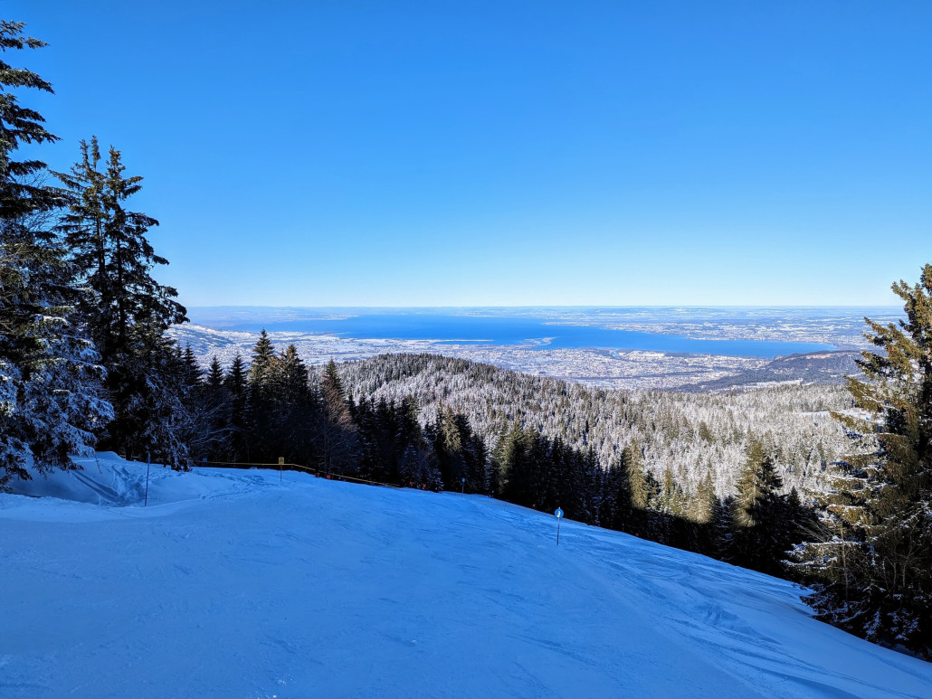 WhatsApp Bild 2024-01-20 um 15.45.25_6a53f094.jpg