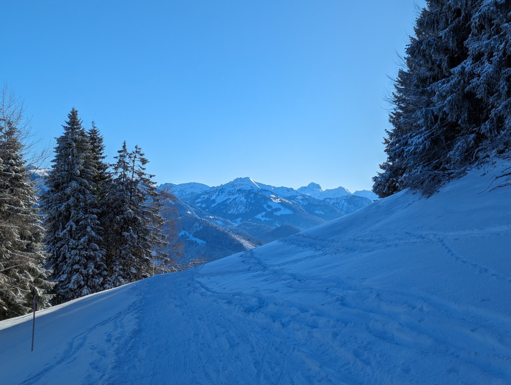 WhatsApp Bild 2024-01-20 um 15.45.25_5dac2376.jpg