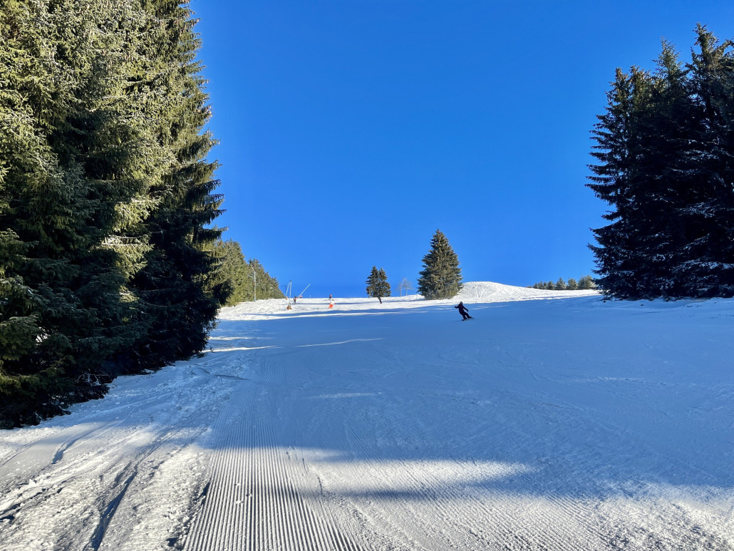 Ganz unten kurz vor der Einmündung auf die Moser